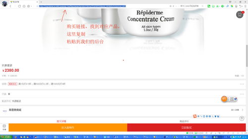 上海派网 网站优化seo专家 建网站专家 上海做网站的公司